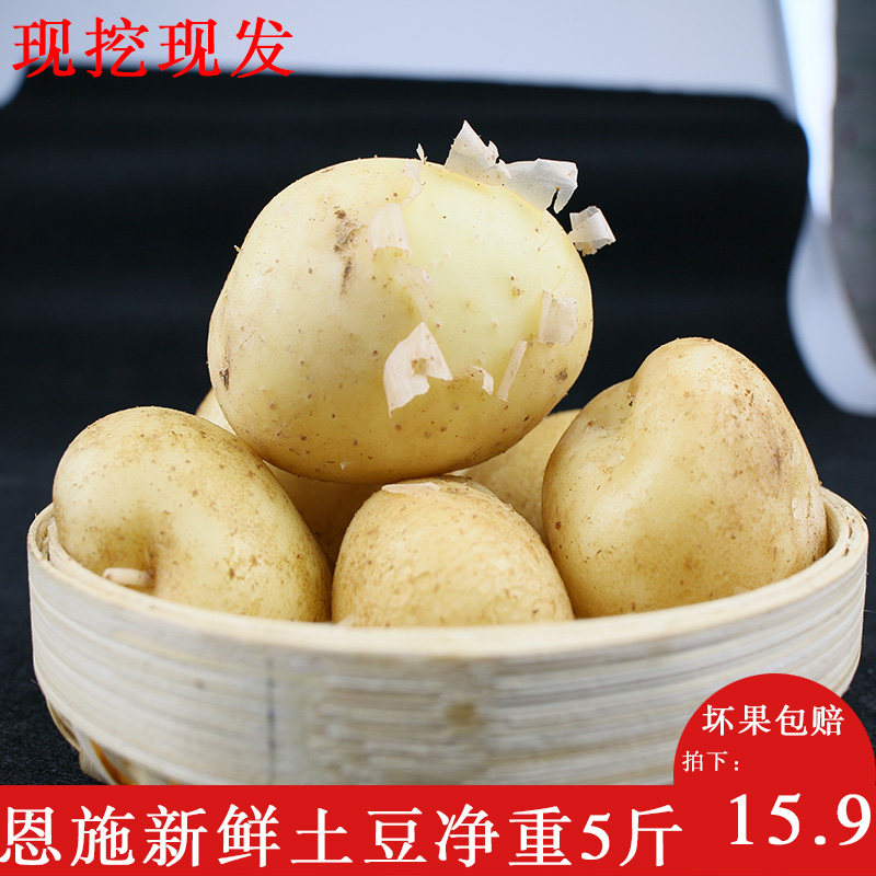 Enshi fresh small potatoes 5 kg potato agricultural products vegetable potatoes Marco yellow heart potatoes non 10 kg