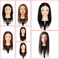 Hair head model full real hair apprentice can perm curl practice coil hair braided hair makeup doll model head full real hair