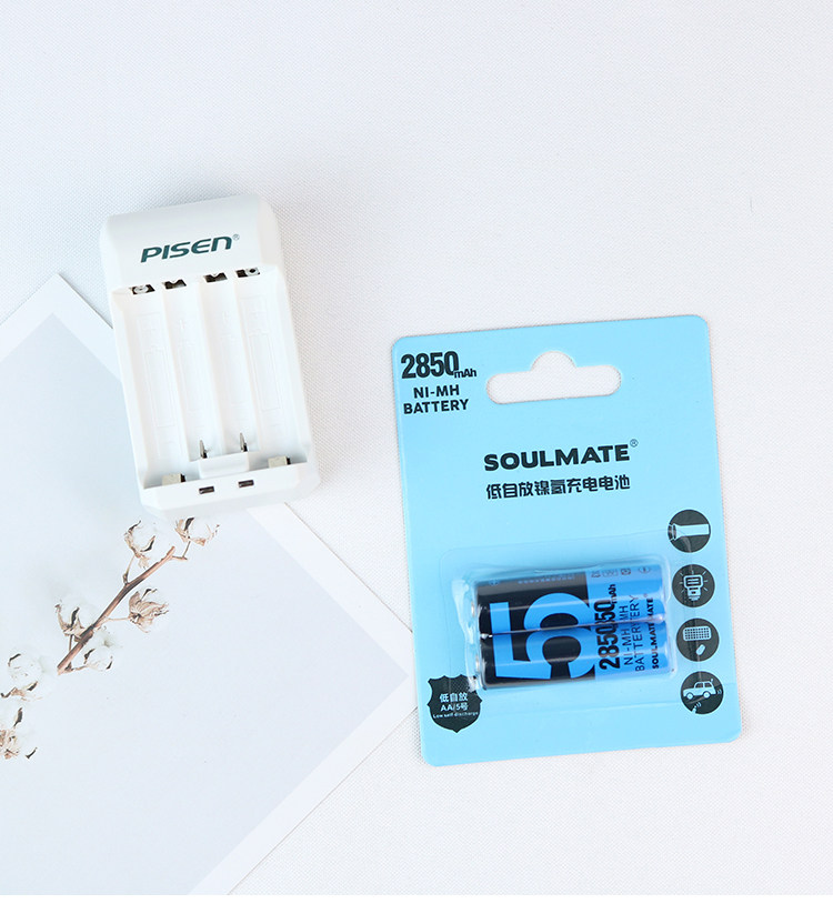 Film machine special battery No 5 Polaroid rechargeable battery CCD old digital camera charger set