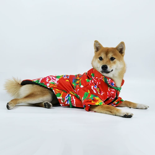 2022 ПЭТ-одежда Новая годоватая северо-восточная хлопчатобумажная одежда собака домашняя одежда хлопковая одежда зимняя одежда теплая одежда ПЭТ двухфутовая хлопчатобумажная одежда