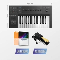 A25+Arancement Set+Pedal