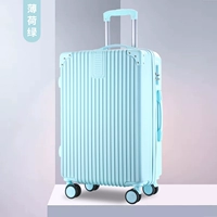 Мятный зеленый ретро -модель на молнии