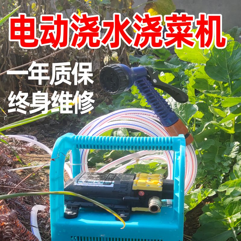 Charging water pump watering vegetable outdoor agricultural irrigation portable charging pumping pump 12v watering ground watering vegetable water pump suction