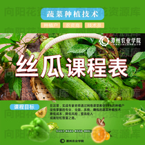 Tanzhou Education Luffa System Class Premium Courses Tanzhou Agricultural Vegetable Planting Technology Tanzhou Out-of-Principle Courses