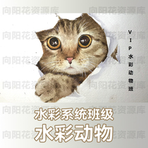 Tanzhou Educational Watercolor System Class-Animal Class Tanzhou Watercolor System Animal Class Tanzhou Out-of-Principle Course