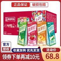 Moncow Real Fruit Grain Milk Drink (Strawberry Aloe Vera Coconut Fruit Peach Grain) 250g * 24 boxes 