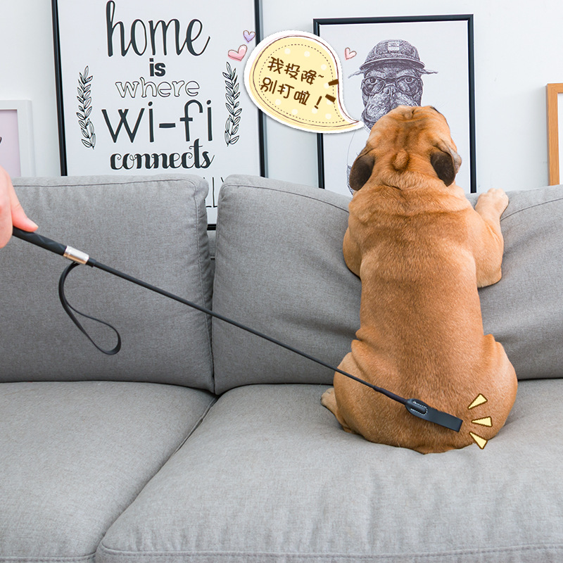 Fight Dog Baseball Training Dog Stick God Instrumental Pet Dog Trainer Material Leather Whip Correction Of Mess Urine Training Dog Equipment Supplies Loving Pat