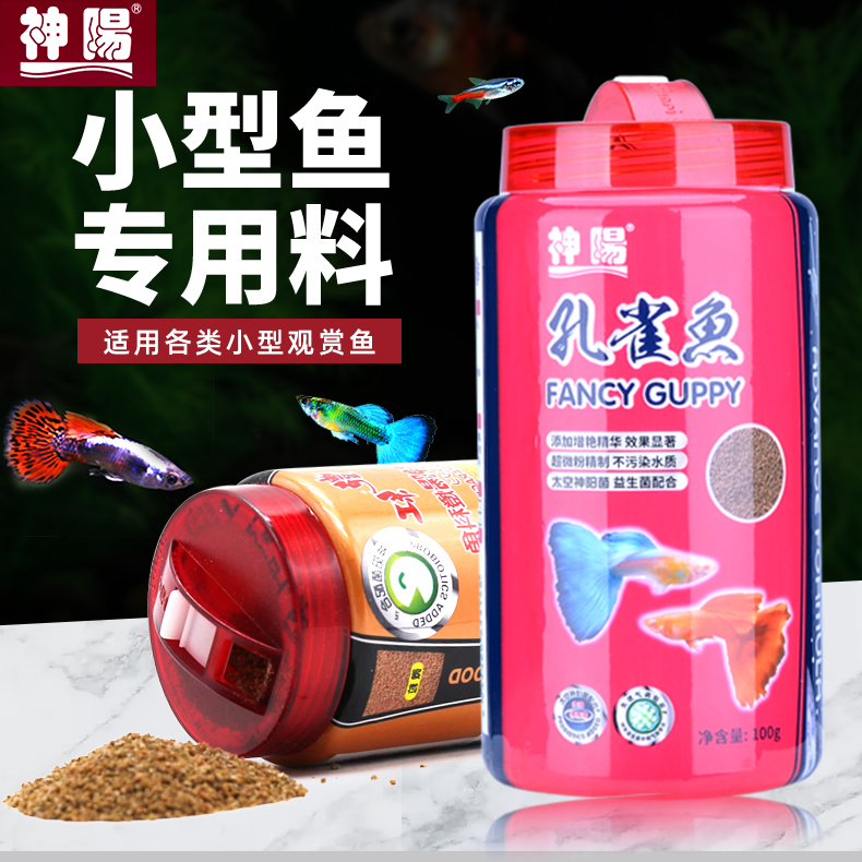 Shenyang feed common ornamental fish tropical small Phoenix-tailed guppy fish lantern fish fairy fish red arrow fish slow sinking fish food