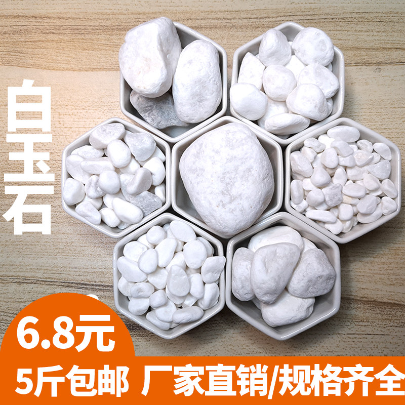 Cobblestone natural white small stone rain florite white small pebble multi-meat paved with flower tank Courtyard View