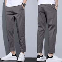 Темно-серый [8616-1]