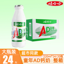 Wahaha AD calcium milk 220g*24 large bottle of childrens yogurt drink Wahaha breakfast lactic acid bacteria drink whole box