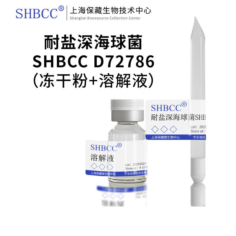 耐盐深海球菌SHBCC D72786非模式菌株海水2216琼脂28℃培养冷藏冻