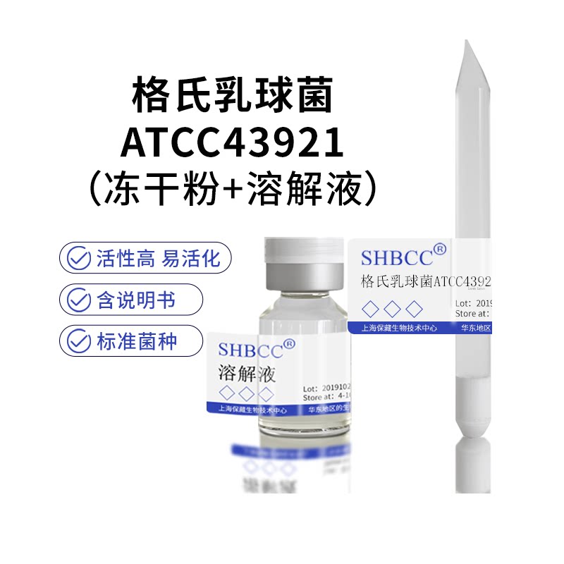 包邮冻干粉格氏乳球菌ATCC43921菌种培养服务