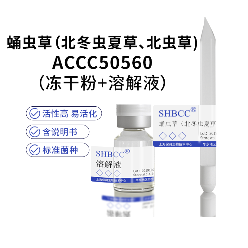包邮冻干粉母种蛹虫草（北冬虫夏草、北虫草）ACCC50560菌种菌种