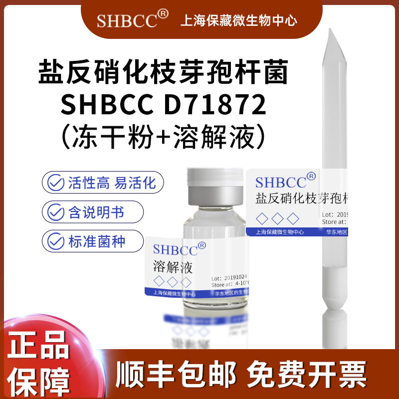 盐反硝化枝芽孢杆菌ATCC 49067 =DSM 10037模式菌株营养肉汁琼脂