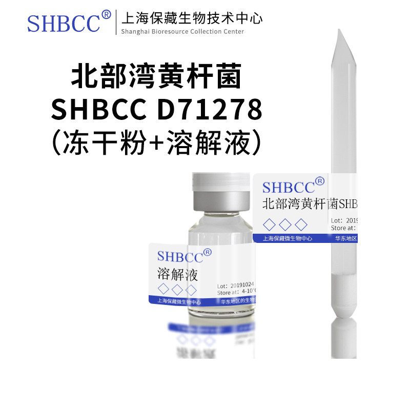 北部湾黄杆菌CCTCC AB 209067模式菌株海水2216琼脂28℃培养冷藏
