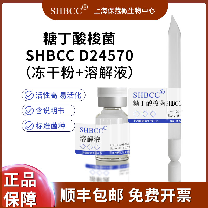 糖丁酸梭菌SHBCC D24570