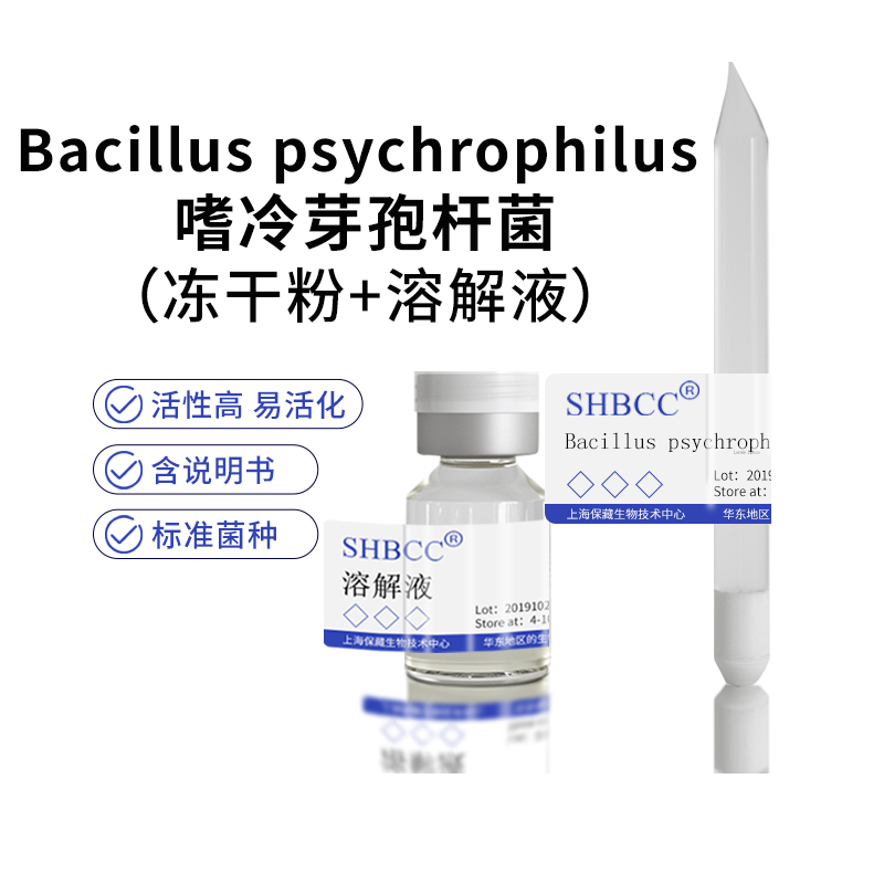 包邮 冻干粉 Bacillus psychrophilus 嗜冷芽孢杆菌