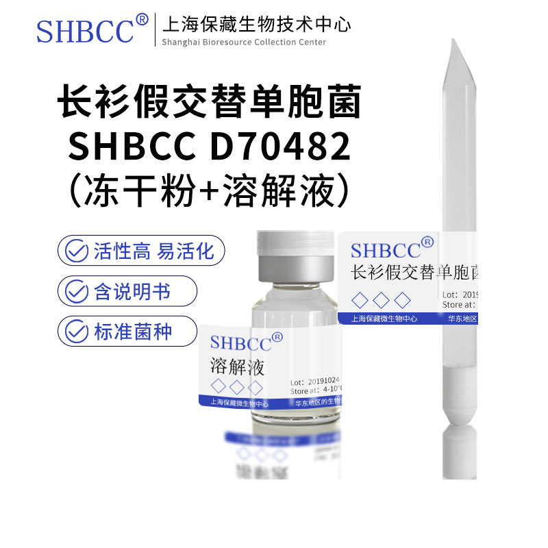 长衫假交替单胞菌SHBCC D70482非模式菌株海水2216琼脂冷藏4-10℃