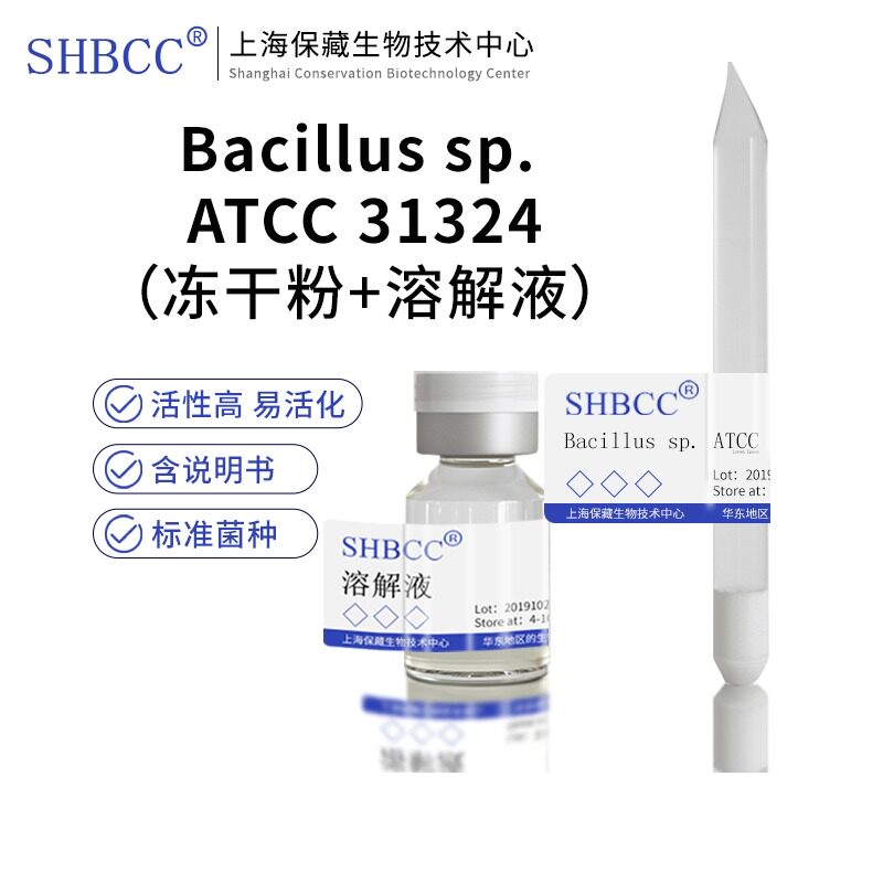 包邮 冻干粉 Bacillus sp. ATCC 31324 0代菌种