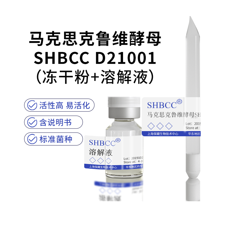 马克思克鲁维酵母SHBCC D21001非模式菌株5 °Bé麦芽汁琼脂培养