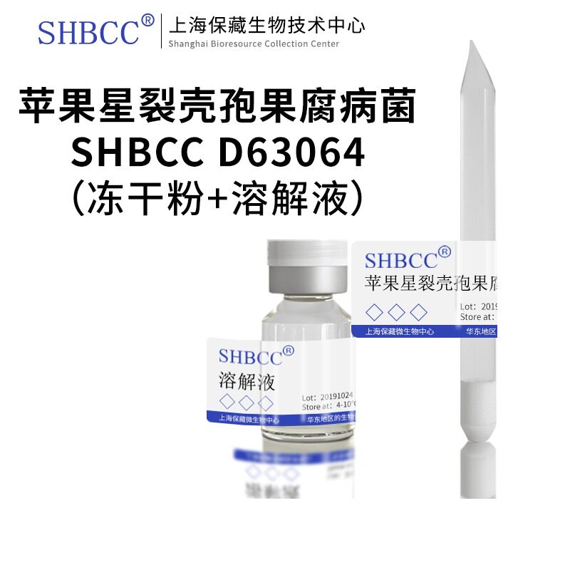 苹果星裂壳孢果腐病菌 非模式菌株 PDA培养基 25℃培养冷藏4-10℃