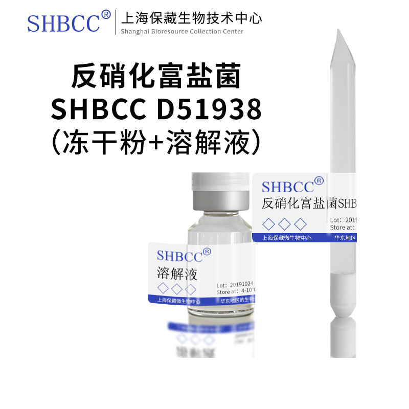反硝化富盐菌ATCC 35960=DSM 4425模式菌株CM琼脂37℃培养冷藏冻