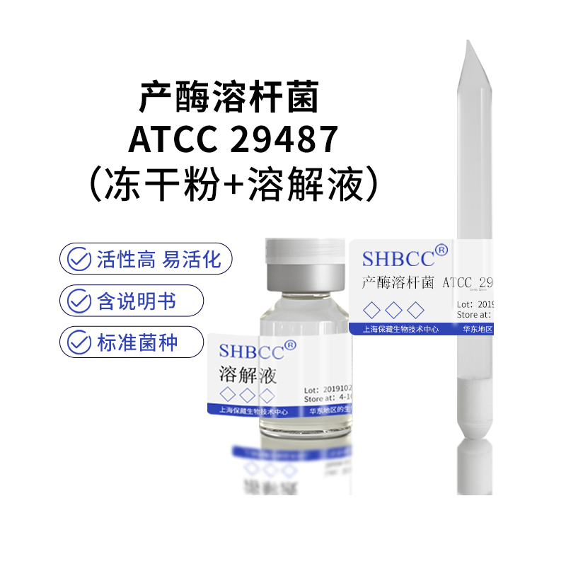 包邮 冻干粉 产酶溶杆菌 ATCC 29487 0代菌种培养服务