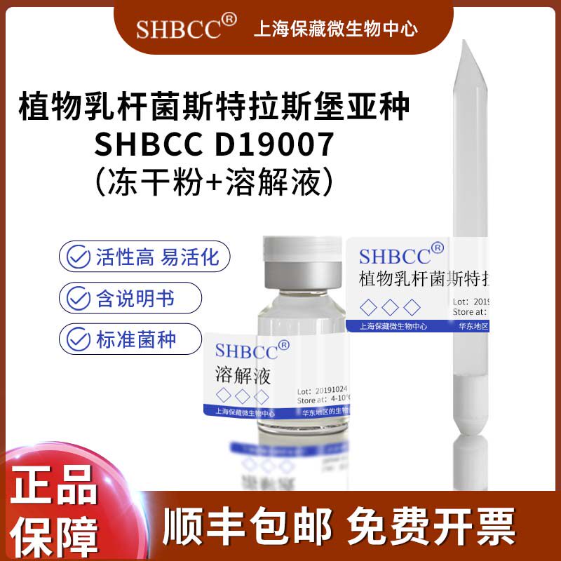 植物乳杆菌斯特拉斯堡亚种SHBCC D19007