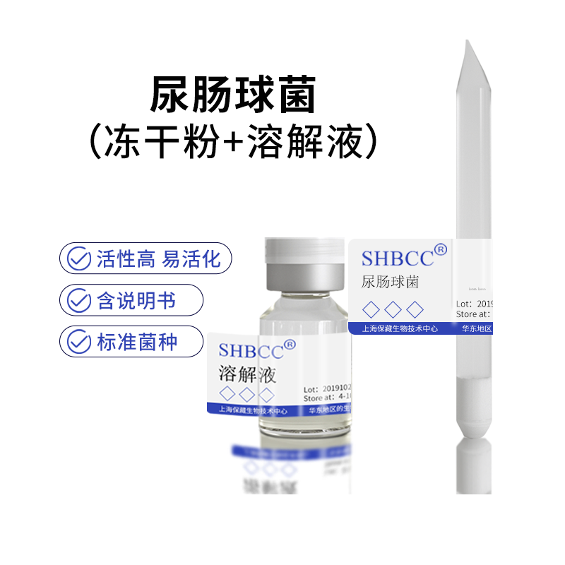 包邮 冻干粉 尿肠球菌
