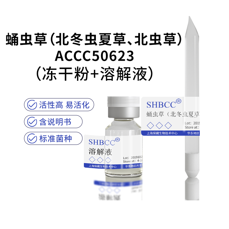 包邮冻干粉母种母种（北冬虫夏草、北虫草）ACCC50623菌种服务