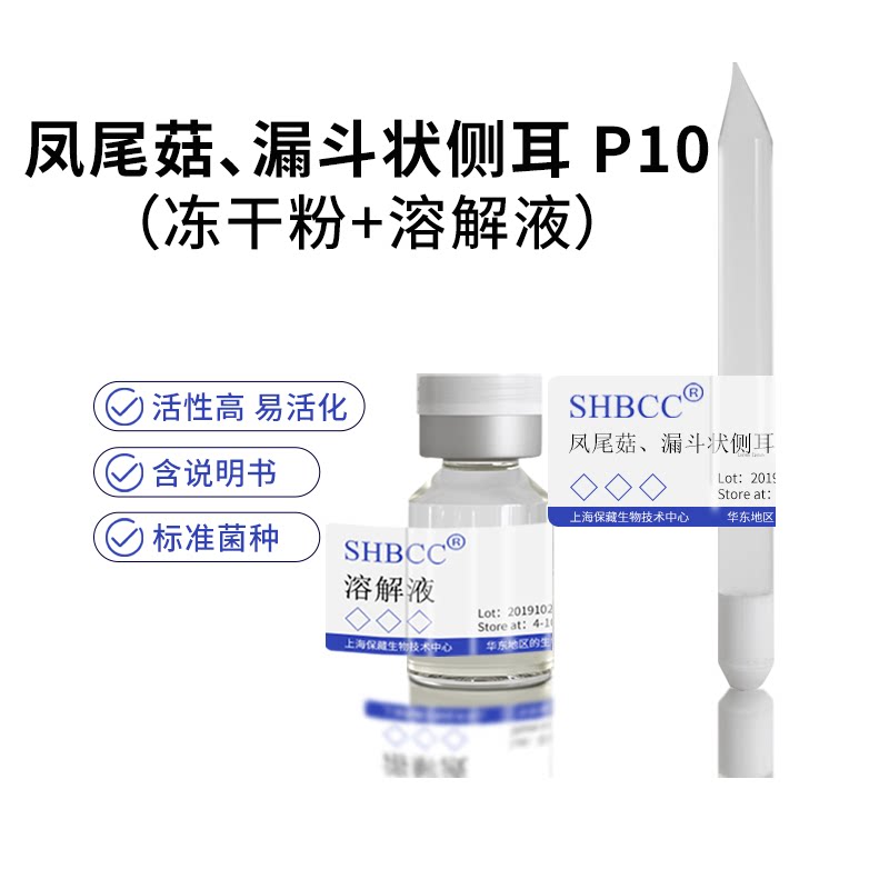 包邮 冻干粉 一级母种 凤尾菇、漏斗状侧耳 P10