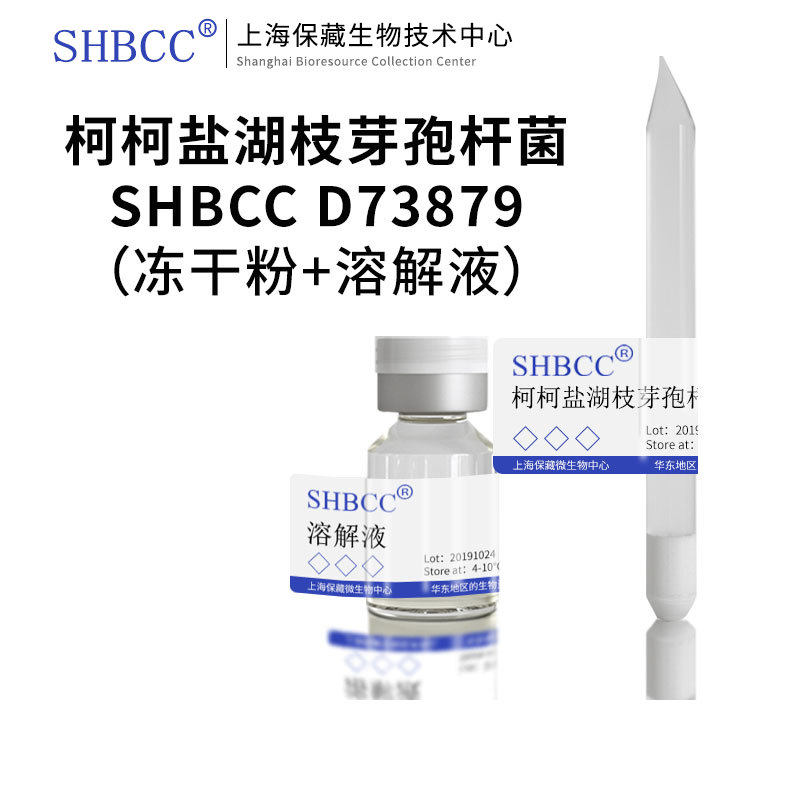 柯柯盐湖枝芽孢杆菌DSM 17056模式菌株海水2216琼脂28℃培养 冷藏