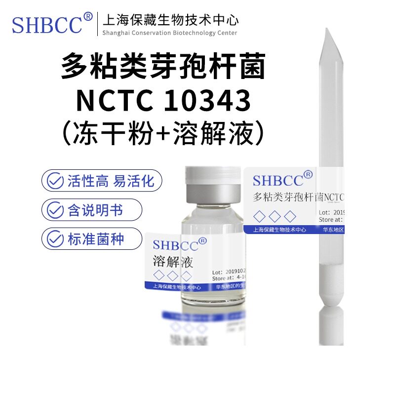 多粘类芽孢杆菌NCTC 10343模式菌株营养肉汁琼脂培养基30℃培养