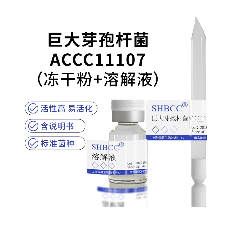 包邮 冻干粉 巨大芽孢杆菌 生产细菌肥料 ACCC11107
