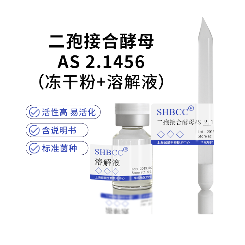 二孢接合酵母AS 2.1456冻干粉麦芽汁琼脂28度活化成二代斜面菌种