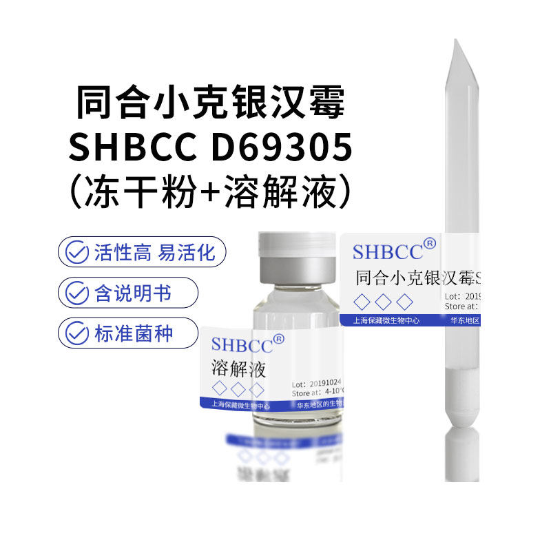 同合小克银汉霉ATCC 16161=DSM 1156非模式菌株PDA培养基25℃培养