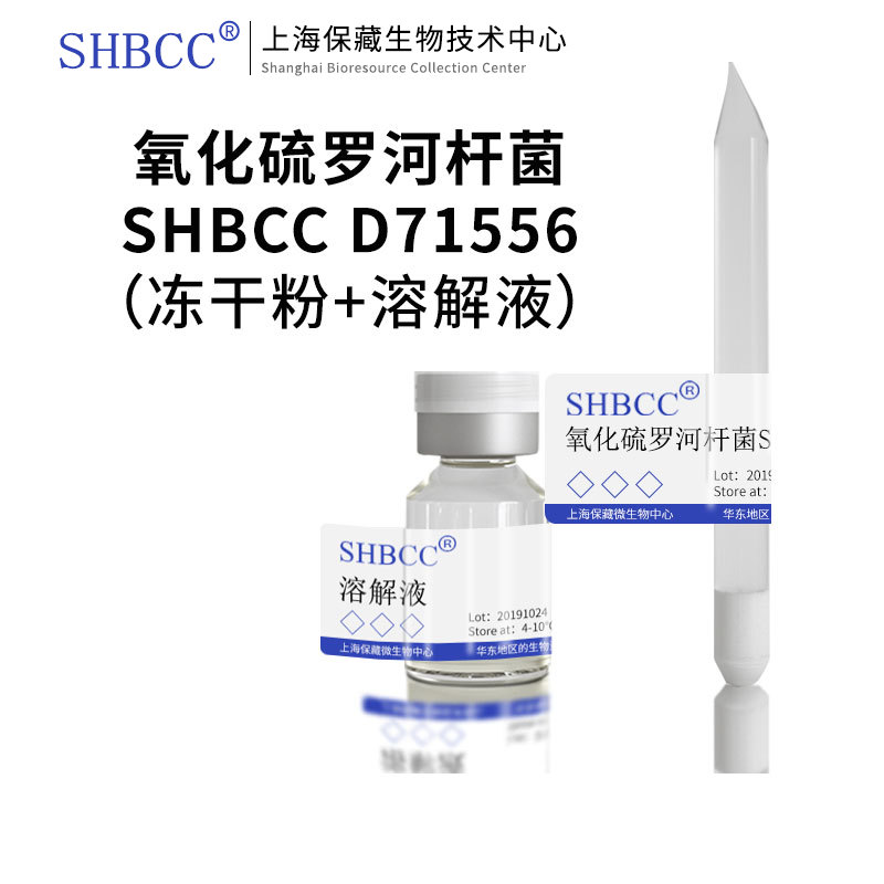 氧化硫罗河杆菌SHBCC D71556非模式菌株R2A培养基30℃培养冷藏冻