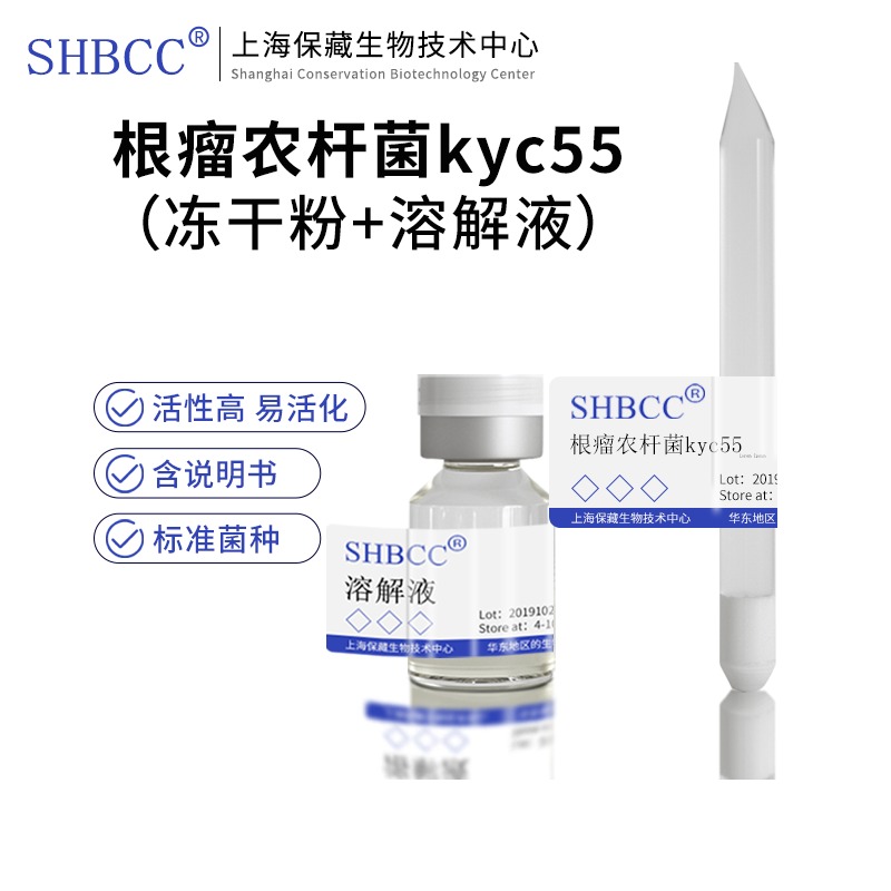 根瘤农杆菌kyc55有四环素庆大霉素壮观霉素抗性YMA琼脂30度活化
