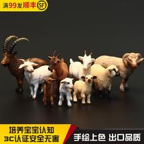 Childrens solid simulation Goat sheep animal toy model aryanx Beishan bighorn sheep four horns Lamb