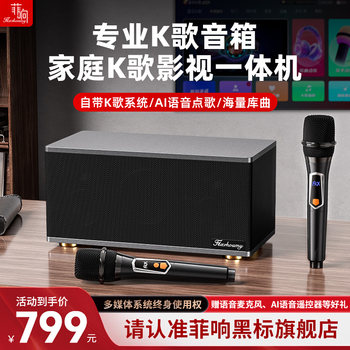 Feixiang's New G60 High-Power Audio System Is an All-In-One Indoor and Outdoor Karaoke, Movie, and Home Theater System with a Karaoke Machine and Amplifier