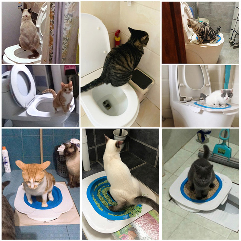 Kitty Upper Toilet Trainer toilet Toilet Bowl Squatting Pit for teaching cats to squat and squat toilet such as toilet study guide