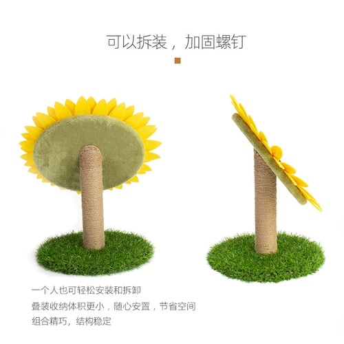 Питовые питомцы поставляются вокруг кошки, захватывающего мечсман -в день подсолнечника захватить кошку, чтобы облегчить игрушки -кошки, чтобы тренировать тело кота