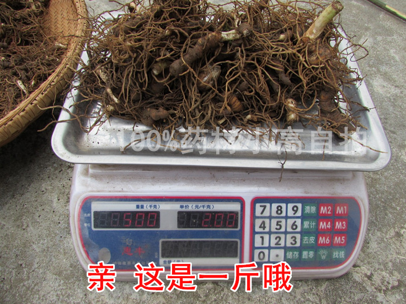 2016年新鲜七叶一枝花9_副本.jpg