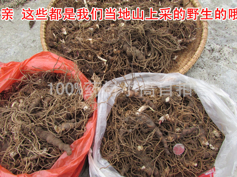 2016年新鲜七叶一枝花8_副本.jpg