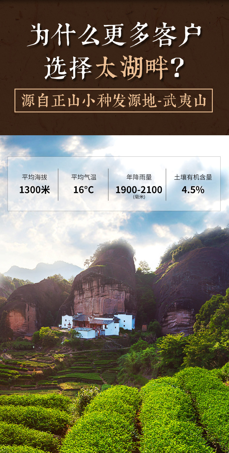 2020新茶 正山小种武夷山红茶 125g 图2