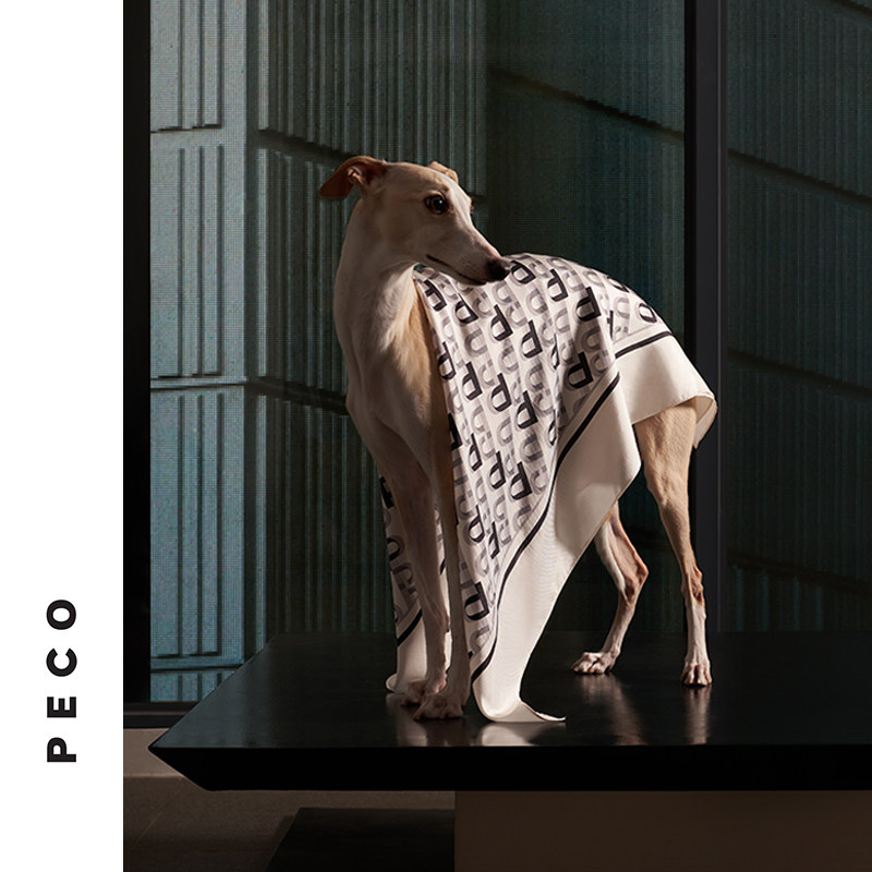 PECO independent design 832 letter logo 2021 new silk mulberry silk French vintage silk scarf large towel