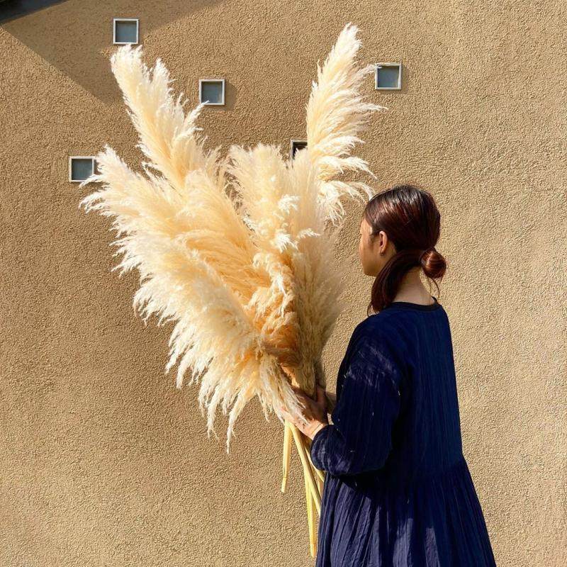 Nordic High Branches Pureed Reed Dried Flowers Advanced Landing Livingroom Ins Pendulum Pieces True Flowers Home Decoration Light And Luxurious Bouquet