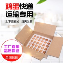pigeon round egg toodeproof pearl cotton shockproof 10 pieces 12 express special anti-crummy foam packing anti-shock