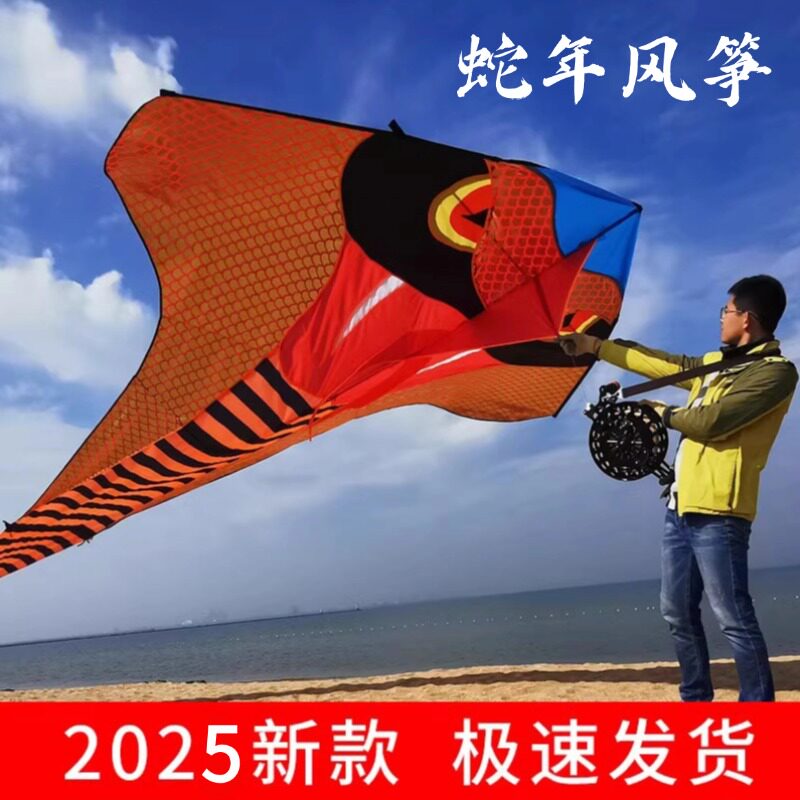 风筝大人专用巨型特大号新款高档蛇风筝三角风筝微风易飞超长蛇尾